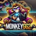 Monkeygg2
