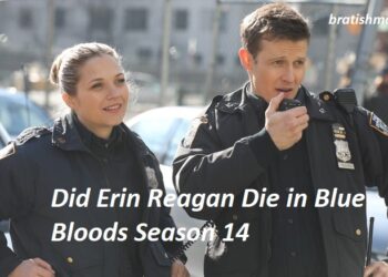 Did Erin Reagan Die in Blue Bloods Season 14