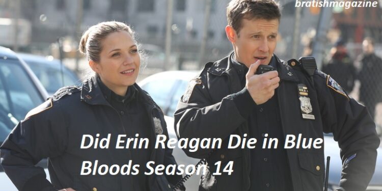 Did Erin Reagan Die in Blue Bloods Season 14