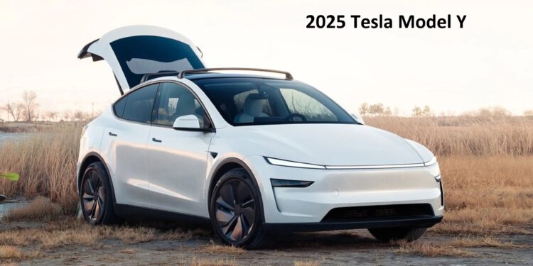 2025 Tesla Model Y