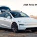 2025 Tesla Model Y