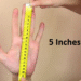 5 Inches