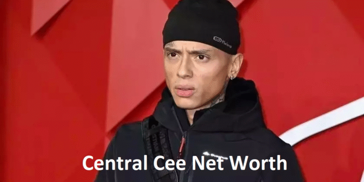 Central Cee Net Worth