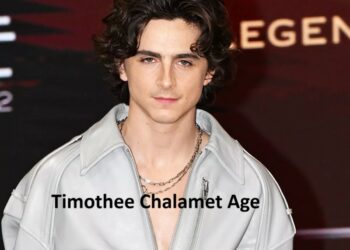 Timothee Chalamet Age