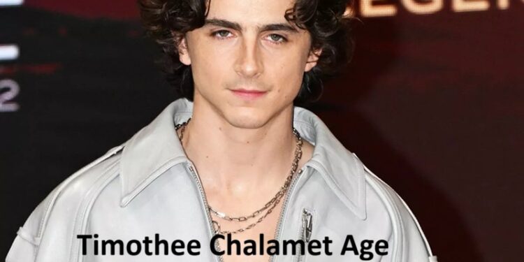 Timothee Chalamet Age