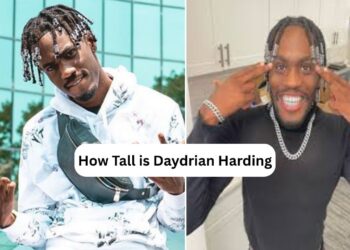 How Tall is Daydrian Harding