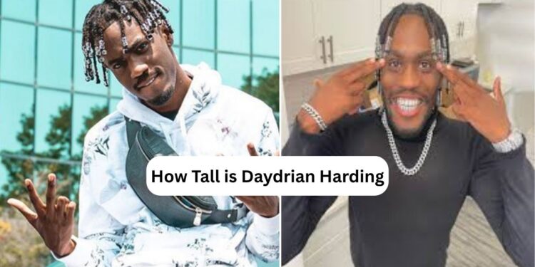 How Tall is Daydrian Harding